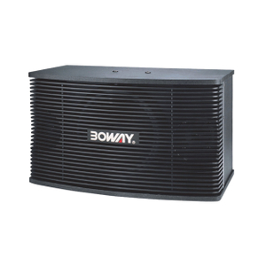 K455 10" two way karaoke speaker 