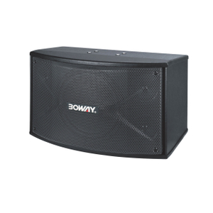 AK1100 10" two way karaoke speaker 