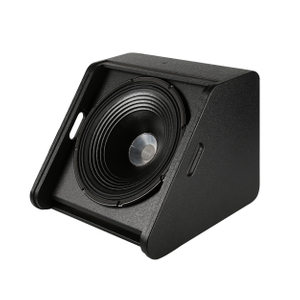 BW-15M 15" coaxial monitor speaker